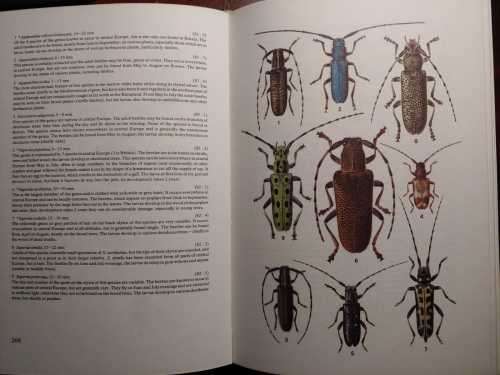 Beetles - A Field Guide in Colour