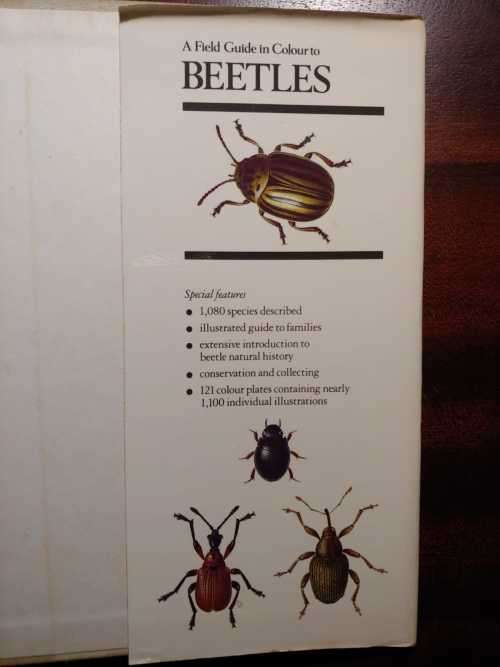 Beetles - A Field Guide in Colour