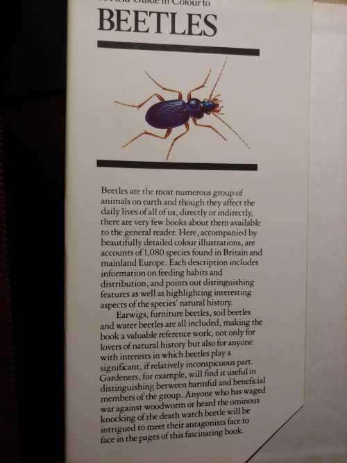 Beetles - A Field Guide in Colour