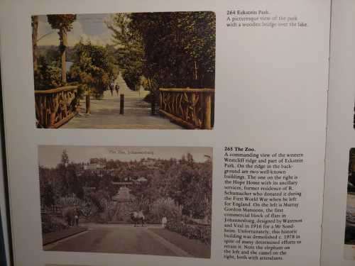 A Johannesburg Album - Historical Postcards