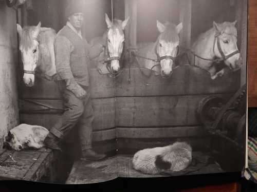 Scott`s Last Voyage - Through The Antarctic Camera of Herbert Ponting