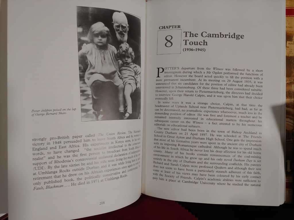 Bearing Witness - The Natal Witness 1846 - 1996  by Simon Haw