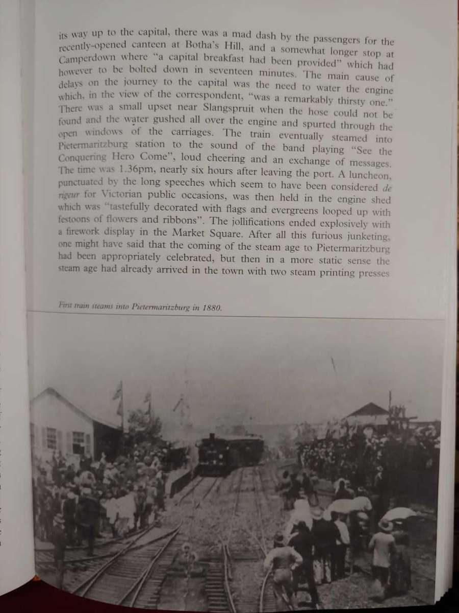 Bearing Witness - The Natal Witness 1846 - 1996  by Simon Haw