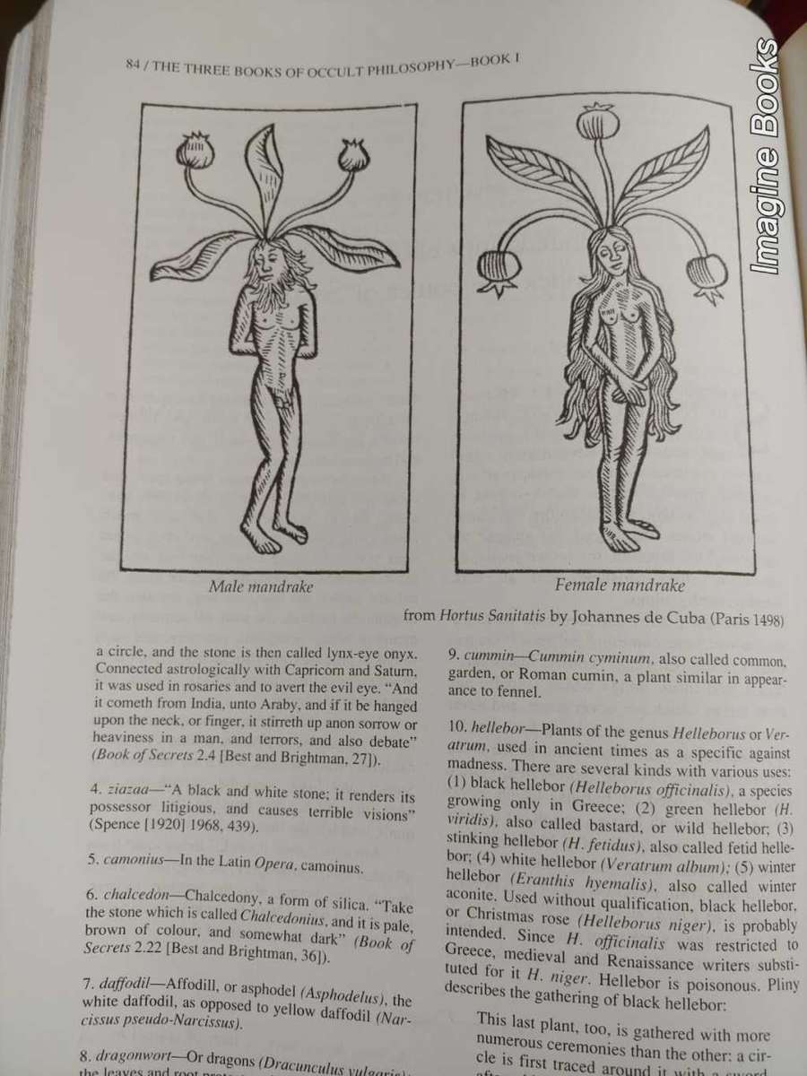 Three Books of Occult Philosophy