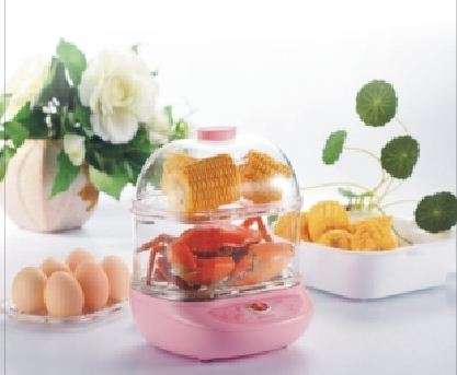 Mini 2 Layer Food Steamer 300w
