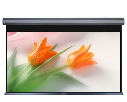 120" 16:9 Electronic Motorized Projector WideScreen w/ Remote Control