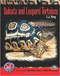 Sulcata and Leopard Tortoises