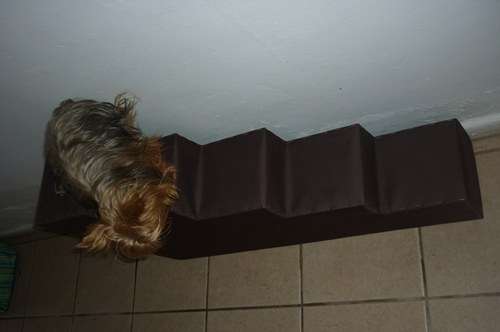 DOGGY STEPS/STAIRS  5 steps