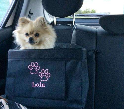 VOYAGER:DOG CAR BOOSTER SEAT