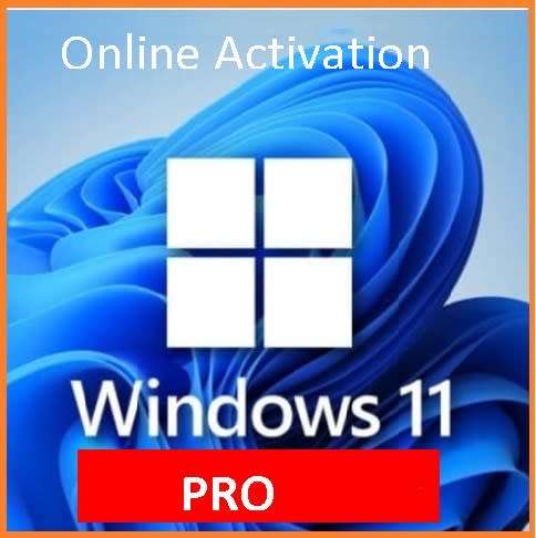 WINDOWS 11 PRO