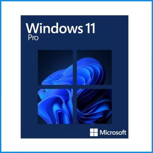 WINDOWS 11 PRO ( Activate Online)
