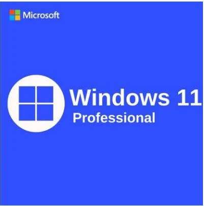 Windows 11 Pro