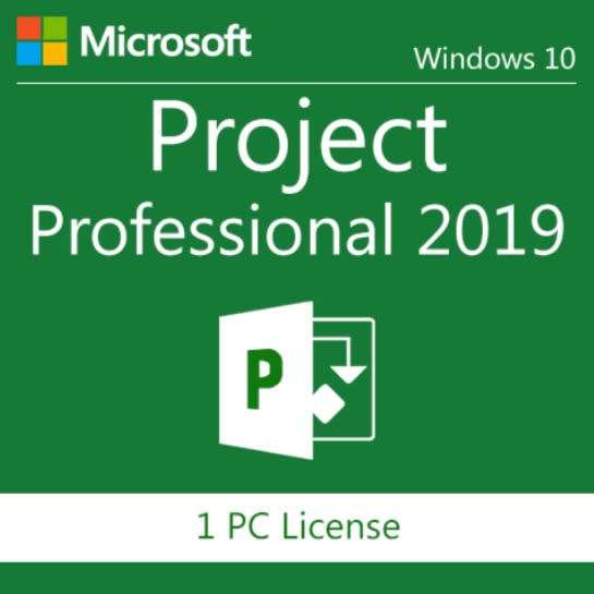 Microsoft Project 2019