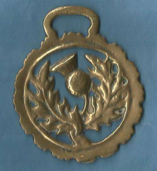 Antique Horse Brass Scottish Thistle,Made in England.R 107.00 View scans