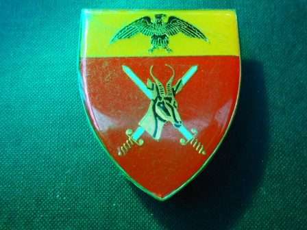 Wits Command (Gauteng) Shoulder Flash