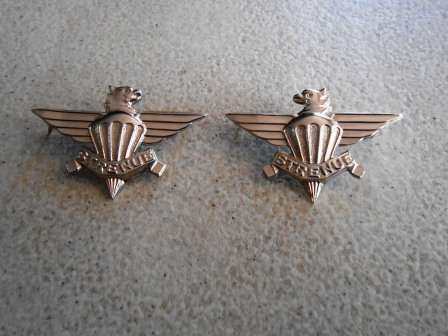 3 Parachute Battalion Collar Badges - Matching Pair