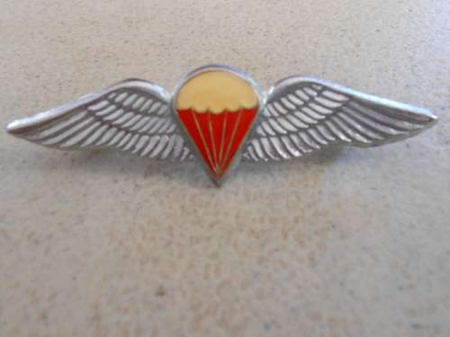 Para Free Fall Wing - Full Size