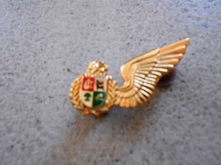SAAF Navigators Mess Dress Wing