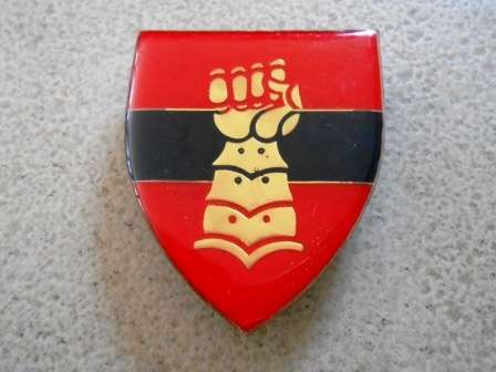 15 Field Engineers Regiment Shoulder Flash