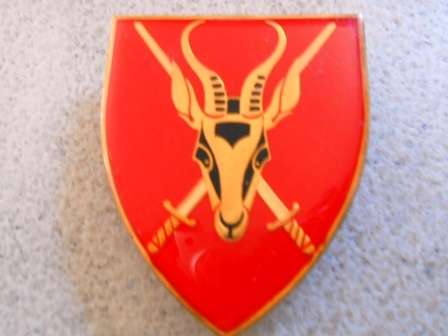 SA Army HQ Shoulder Flash