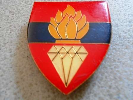 Northern Cape Command Engineering Regiment Shoulder Flash