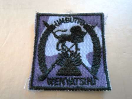 Unknown Swailand Cloth Badge