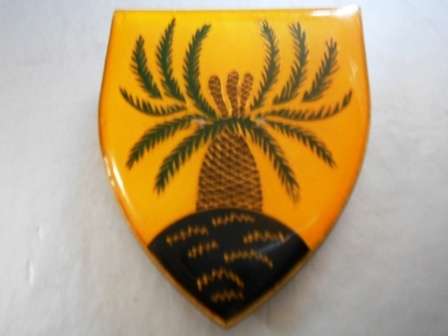4 South African Infantry Shoulder Flash