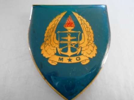 army Gymnasium Shoulder Flash