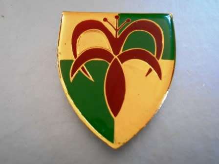 Group 5 HQ Shoulder Flash *** Hard to Find ***