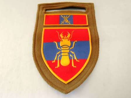 1 Construction Unit Nutria Shoulder Flash