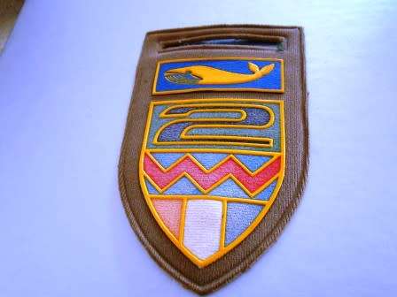 2 South African Infantry Battalion Nutria Flash - ( Flash is faded from use)
