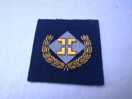 SAAF Intelligence Rubberized Breast Badge