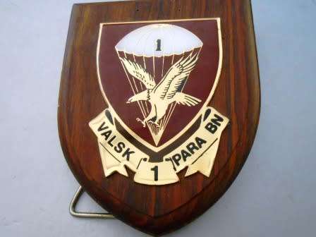1 Para Battalion Plaque
