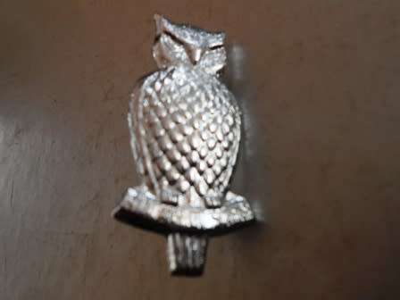 Intelligence Cap Badge