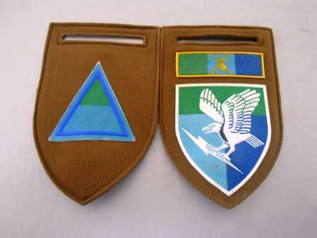 5 Signal Regiment Nutria Shoulder Flash With Company Flash *** Hard to Find ***