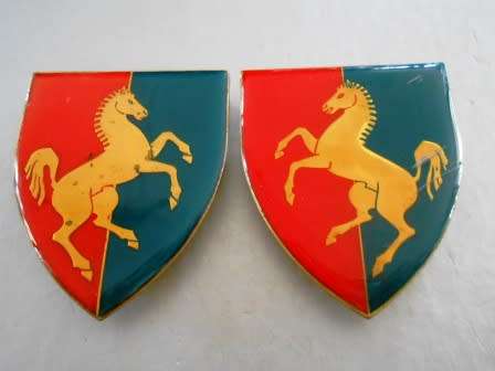 Technical Services Corps Matching Pair of Shoulder Flashes