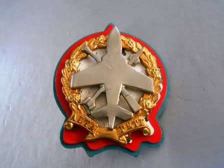 10 Anti Aircraft Beret Badge