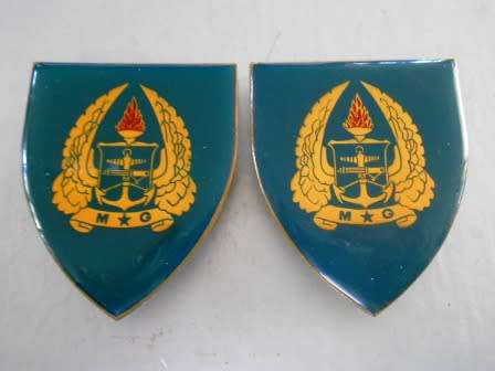 Set Army Gymnasium Shoulder Flashes