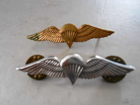 Set of Miniature Parabat Wings