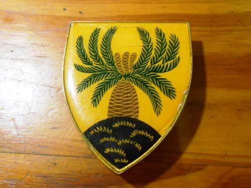 4 South African Infantry Shoulder Flash