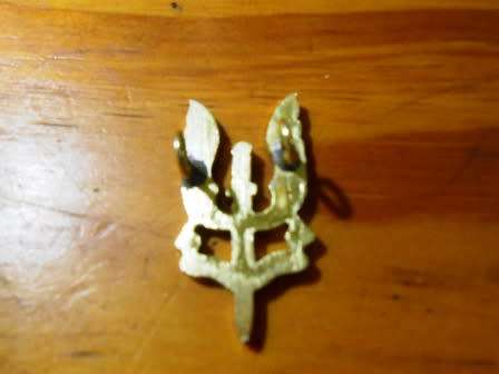 Rhodesian SAS Collar Badge