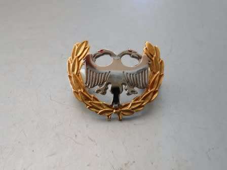 S.A.A.F Security/Protection Bi-metal Breast Badge.