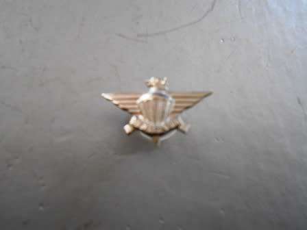 3 Parachute Brigade Lapel pin / Mess dress collar?