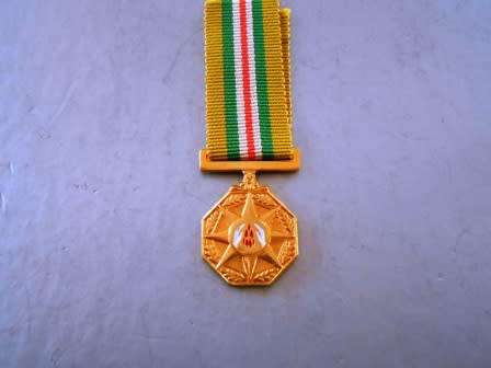 SARP Star for Merit Miniature Medal
