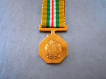 SARP Star for Merit Miniature Medal