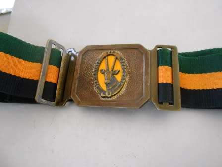 8 South African Infantry Stable belt