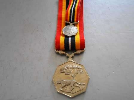 Southern Africa Medal Set