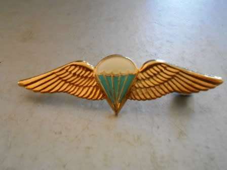 SADF Para Wing Brass type - Full Size