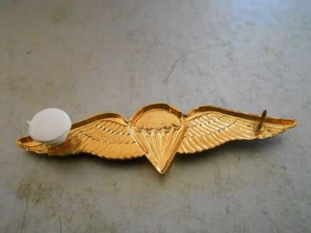 SADF Para Wing Brass type - Full Size