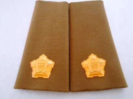 Pair SADF Nutria Major Ranks - (note raised plastic type)